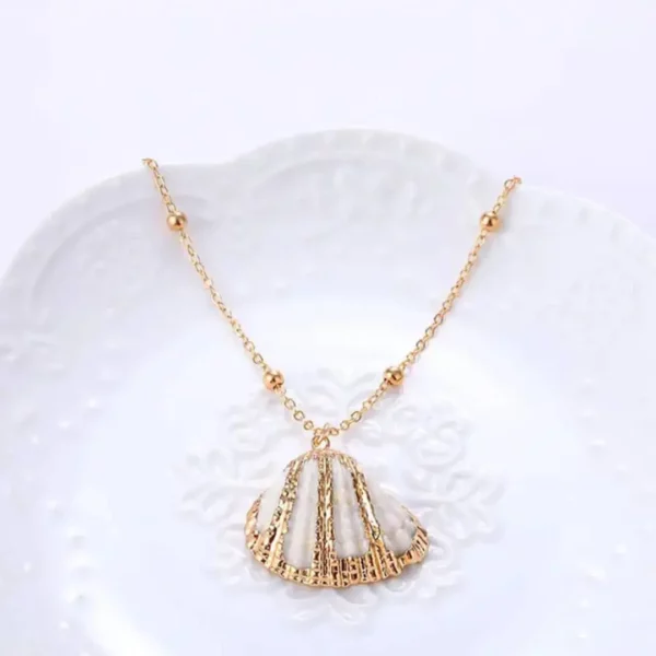 Chaine coquillage 6 Chaine pendentif coquillage